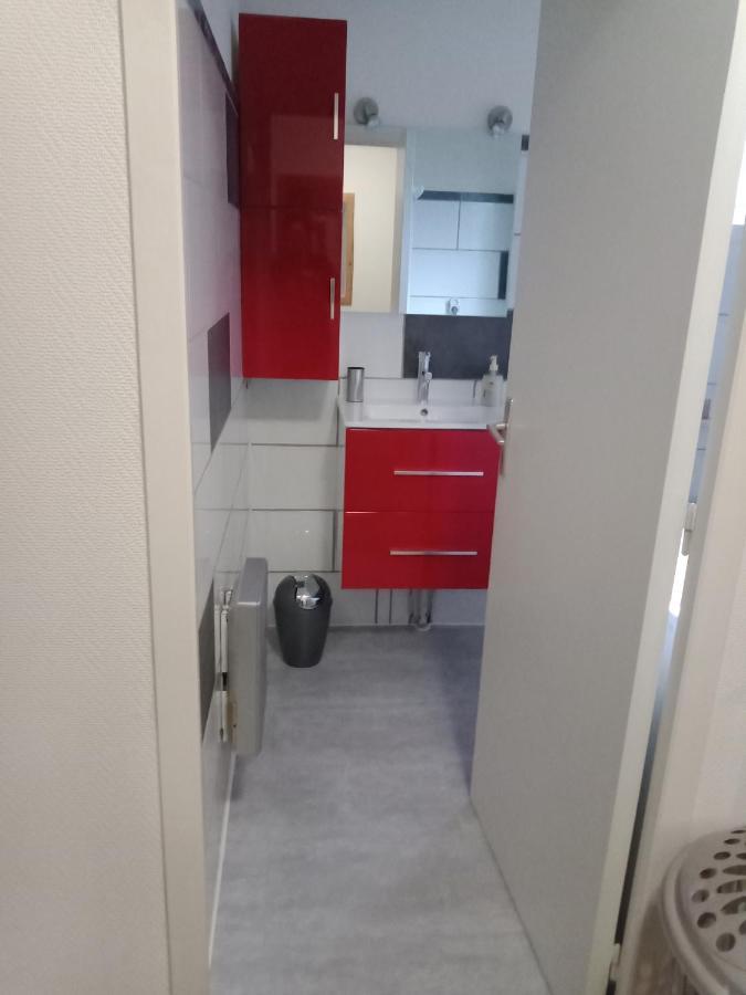 Superbe T3 De 85 Metres Carres Lejlighed Toulouse Eksteriør billede
