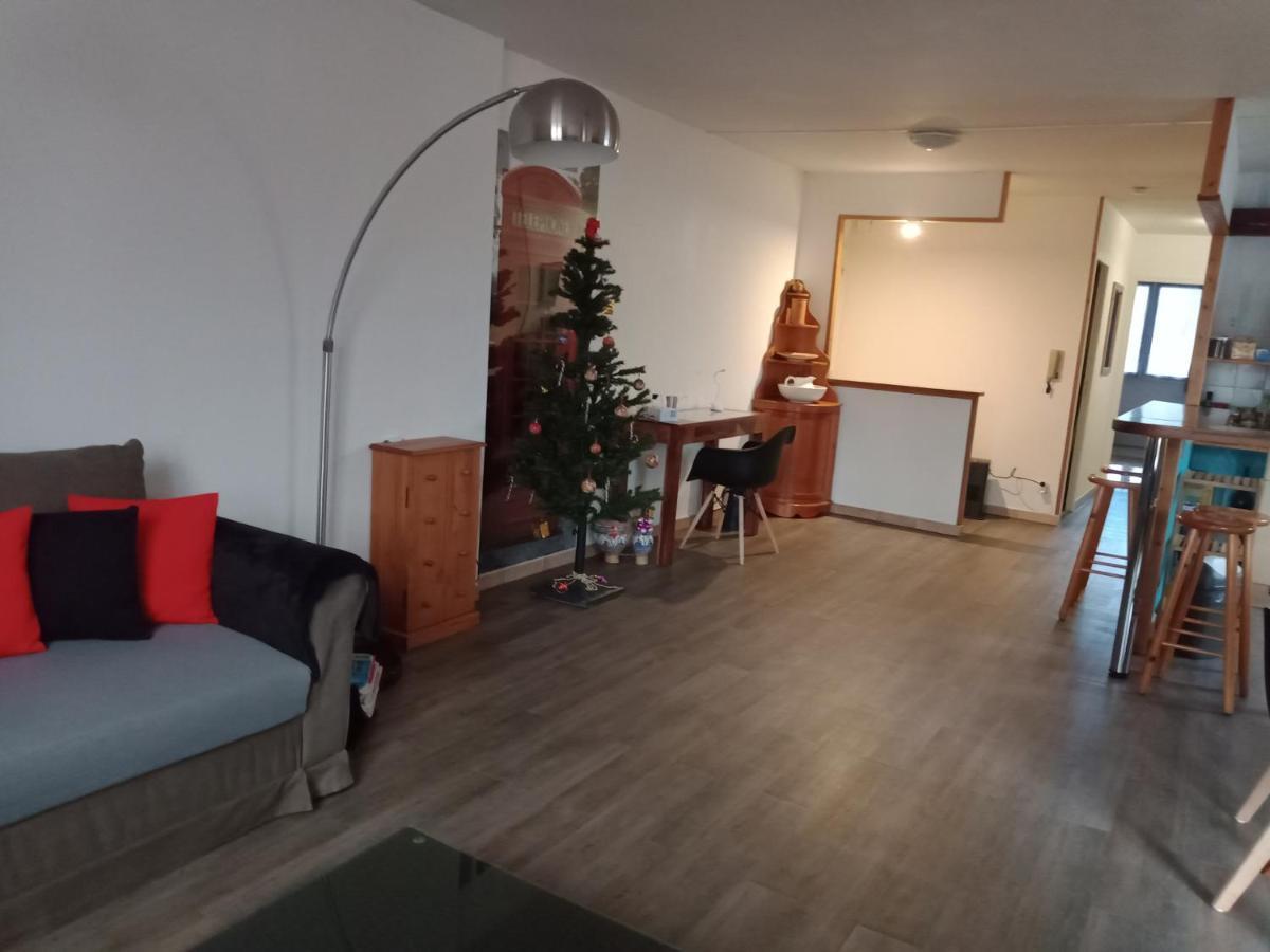 Superbe T3 De 85 Metres Carres Lejlighed Toulouse Eksteriør billede